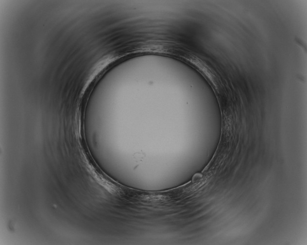 X0000097821131200803281115