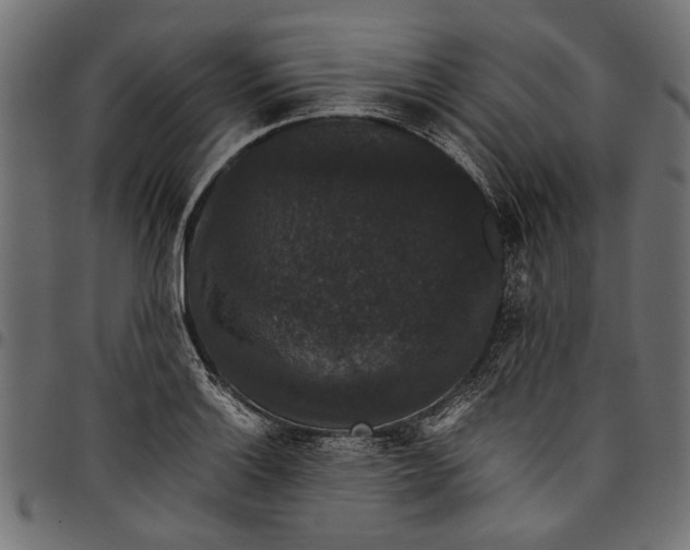 X0000097821132200803281115