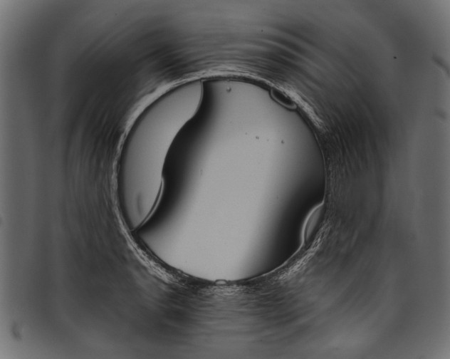 X0000097821134200803281115