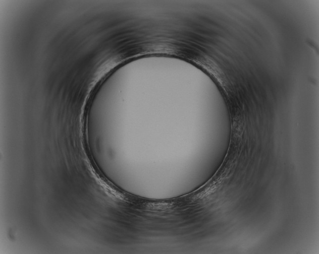 X0000097821135200803281115