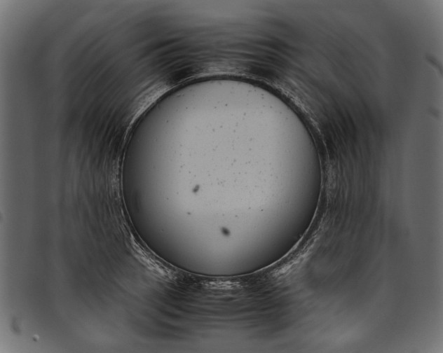 X0000097821137200803281115