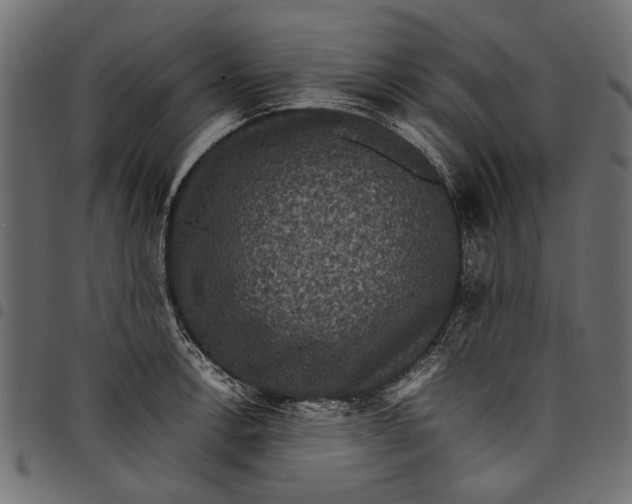 X0000097821138200803281115