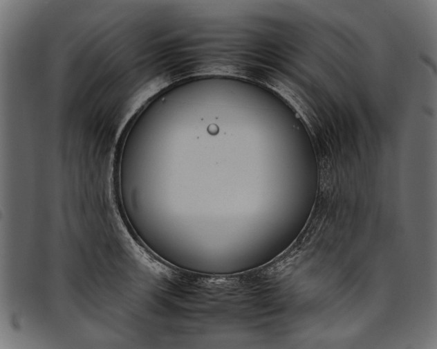 X0000097821139200803281115