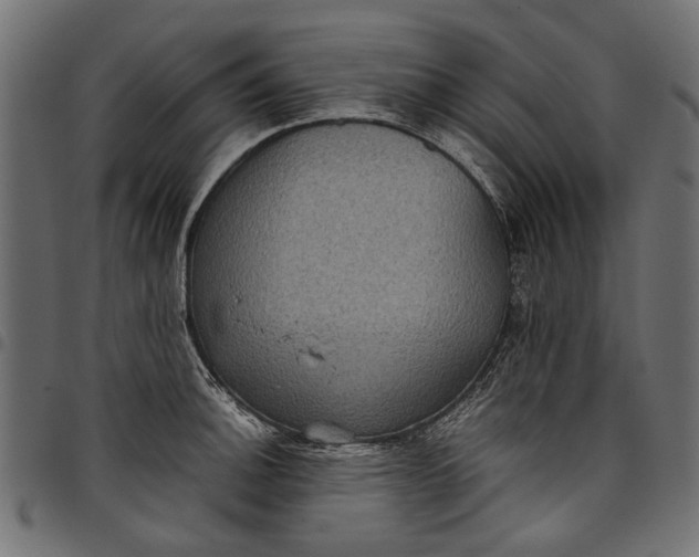 X0000097821140200803281115