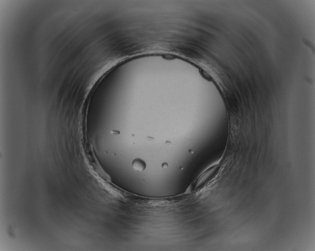 X0000097821142200803281115