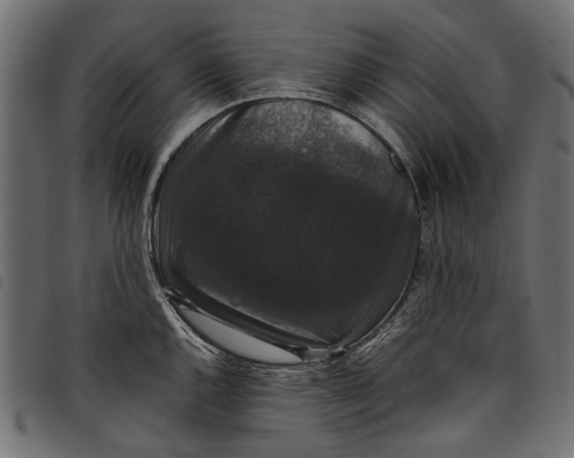 X0000097821144200803281115