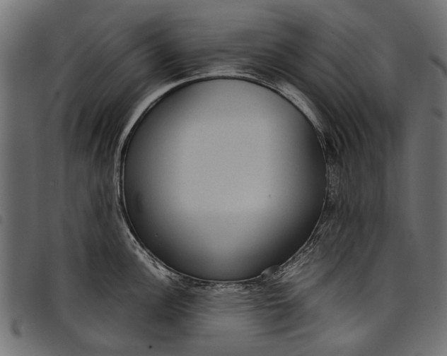 X0000097821148200803281115