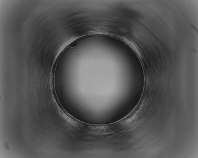 X0000097821149200803281115