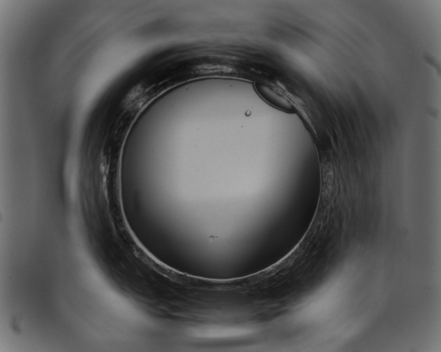 X0000097821151200803281115