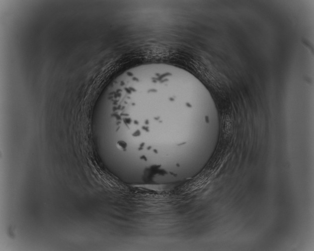 X0000097821153200803281115