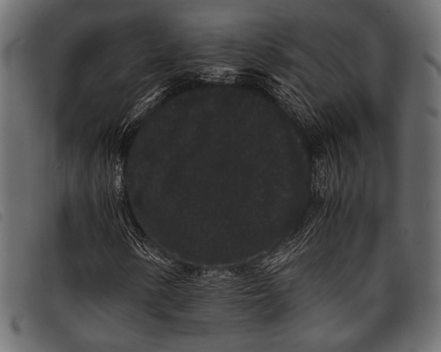 X0000097821154200803281115