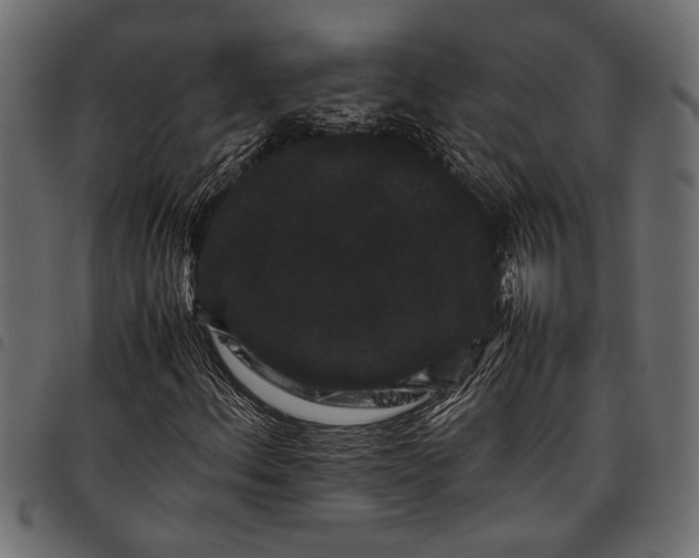 X0000097821156200803281115