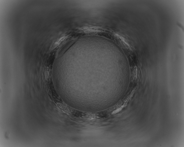 X0000097821157200803281115