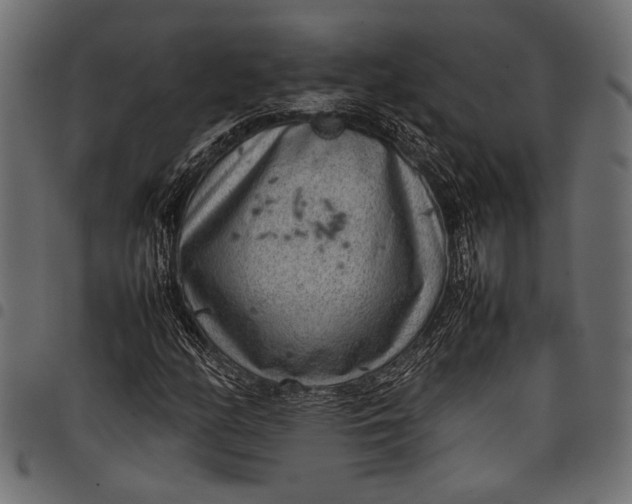 X0000097821158200803281115