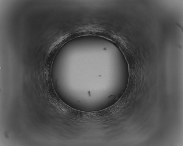 X0000097821159200803281115