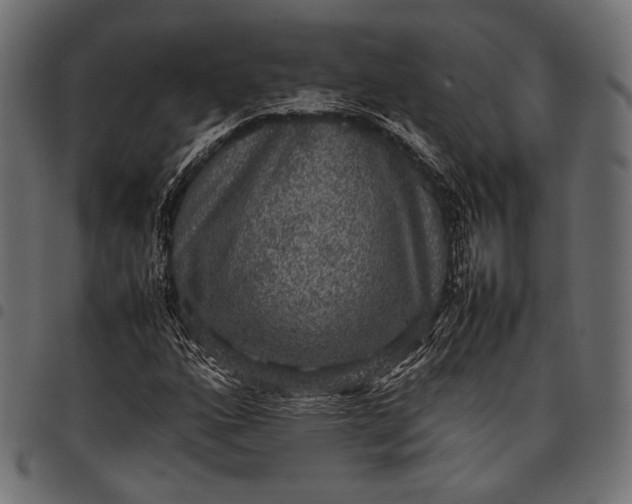 X0000097821160200803281115