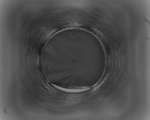 X0000097821161200803281115