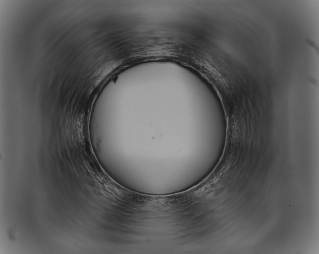 X0000097821162200803281115