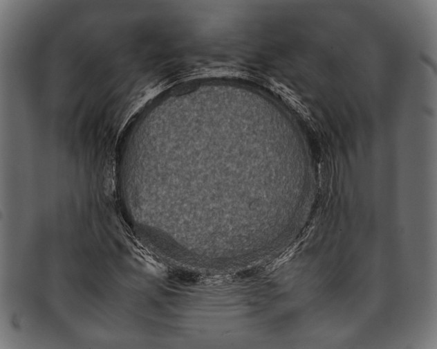 X0000097821165200803281115