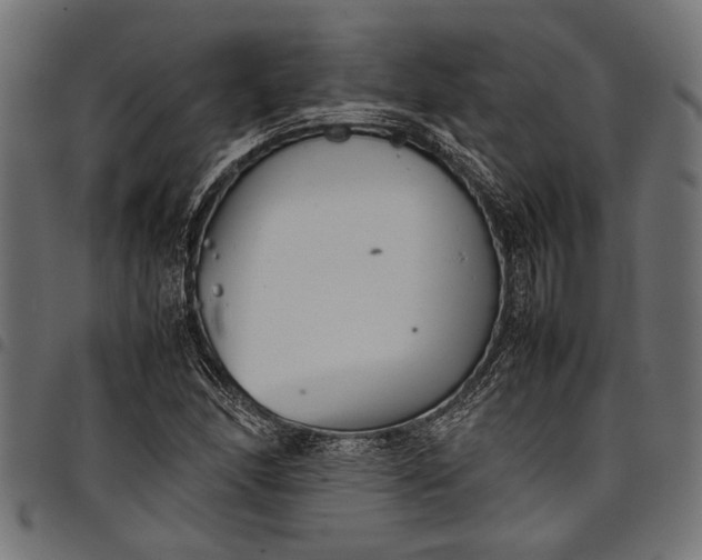 X0000097821166200803281115