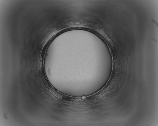 X0000097821167200803281115