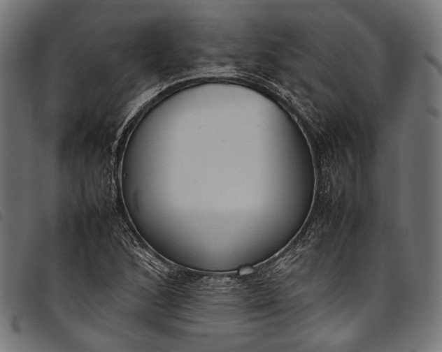 X0000097821168200803281115