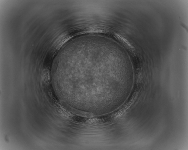 X0000097821169200803281114