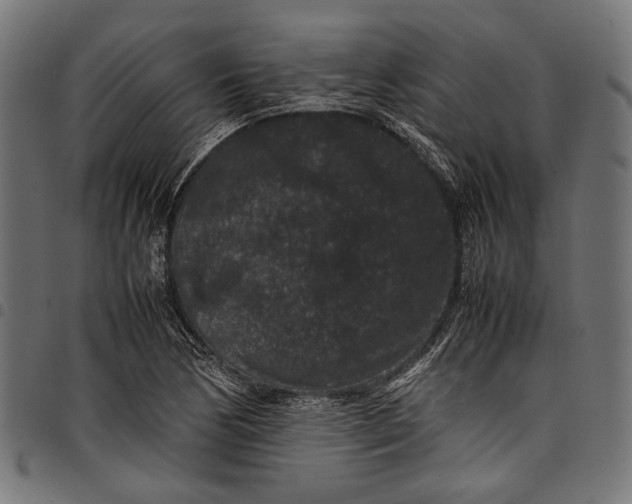 X0000097821170200803281114