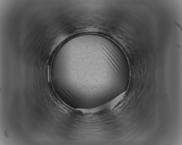 X0000097821171200803281114