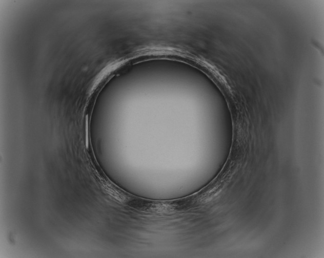 X0000097821175200803281114