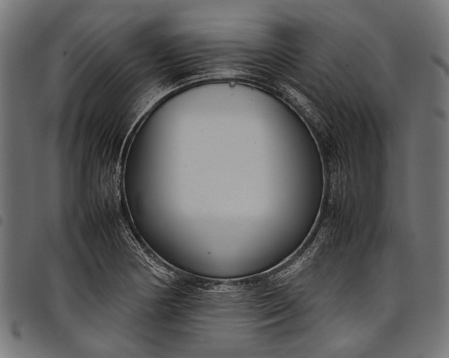 X0000097821178200803281114