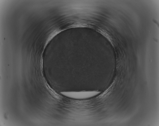 X0000097821179200803281114