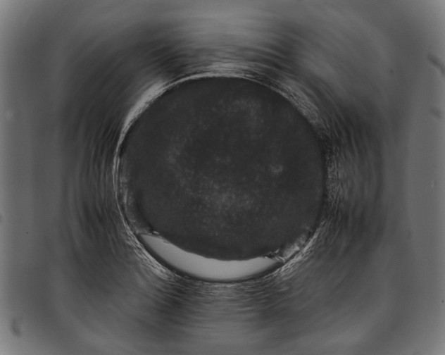 X0000097821180200803281114