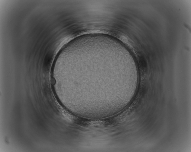 X0000097821181200803281114