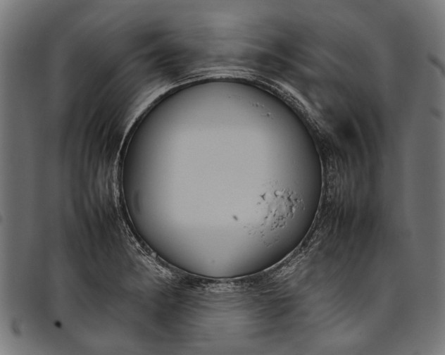 X0000097821182200803281114