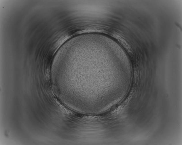 X0000097821185200803281114