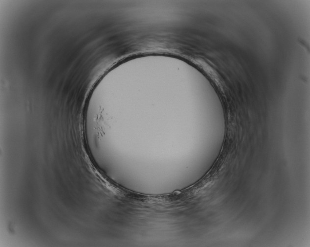 X0000097821191200803281114