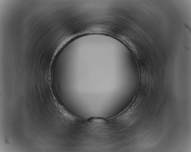 X0000097821192200803281114