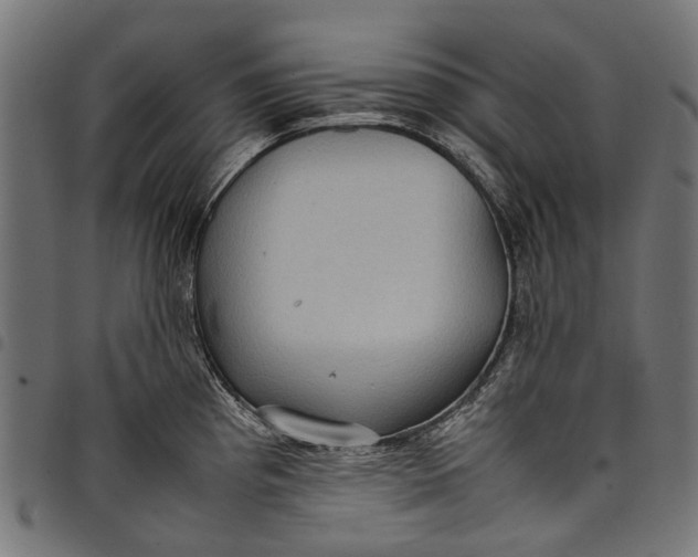 X0000097821193200803281114