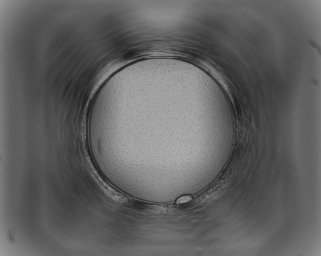 X0000097821195200803281114