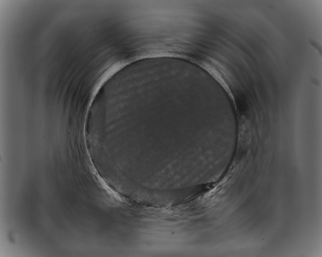 X0000097821197200803281114