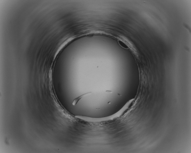 X0000097821198200803281114