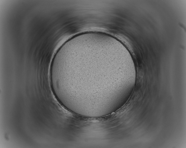 X0000097821199200803281114