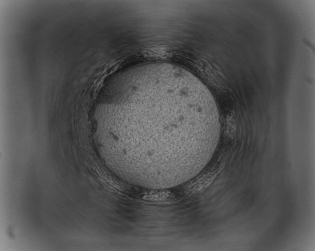 X0000097821201200803281113