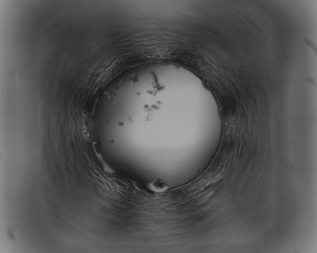 X0000097821202200803281113