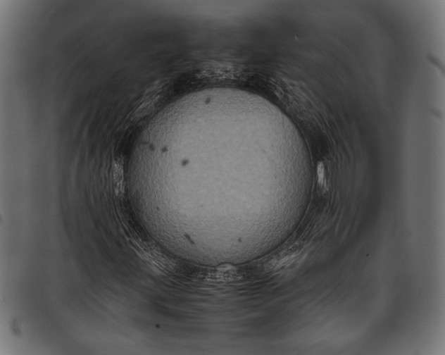 X0000097821203200803281113