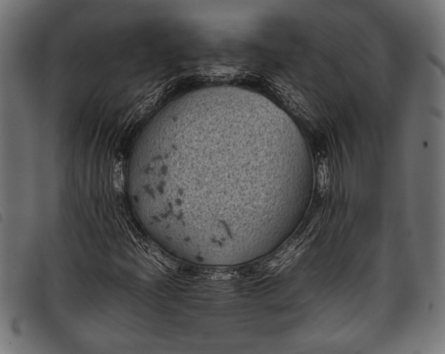 X0000097821204200803281113