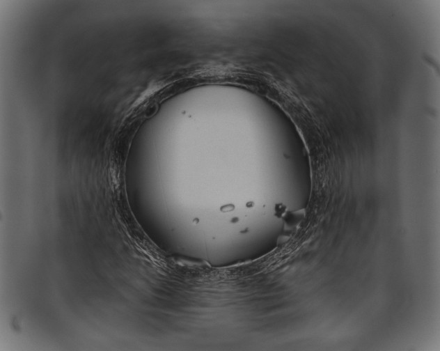 X0000097821206200803281113