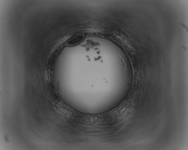 X0000097821207200803281113