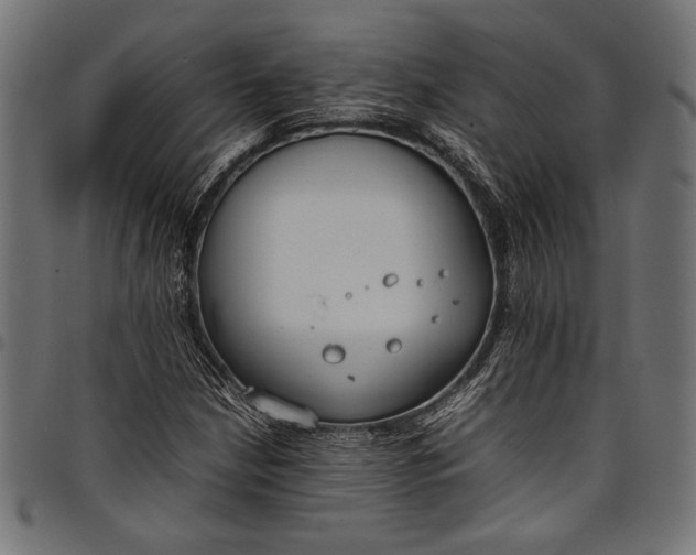 X0000097821210200803281114